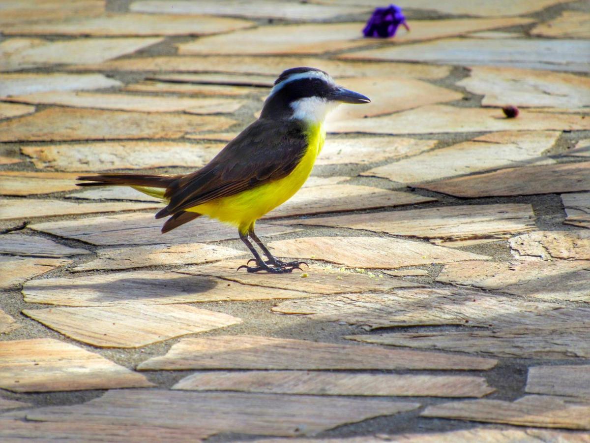 Pousada Mandalla Serra do Cipo National Park Экстерьер фото