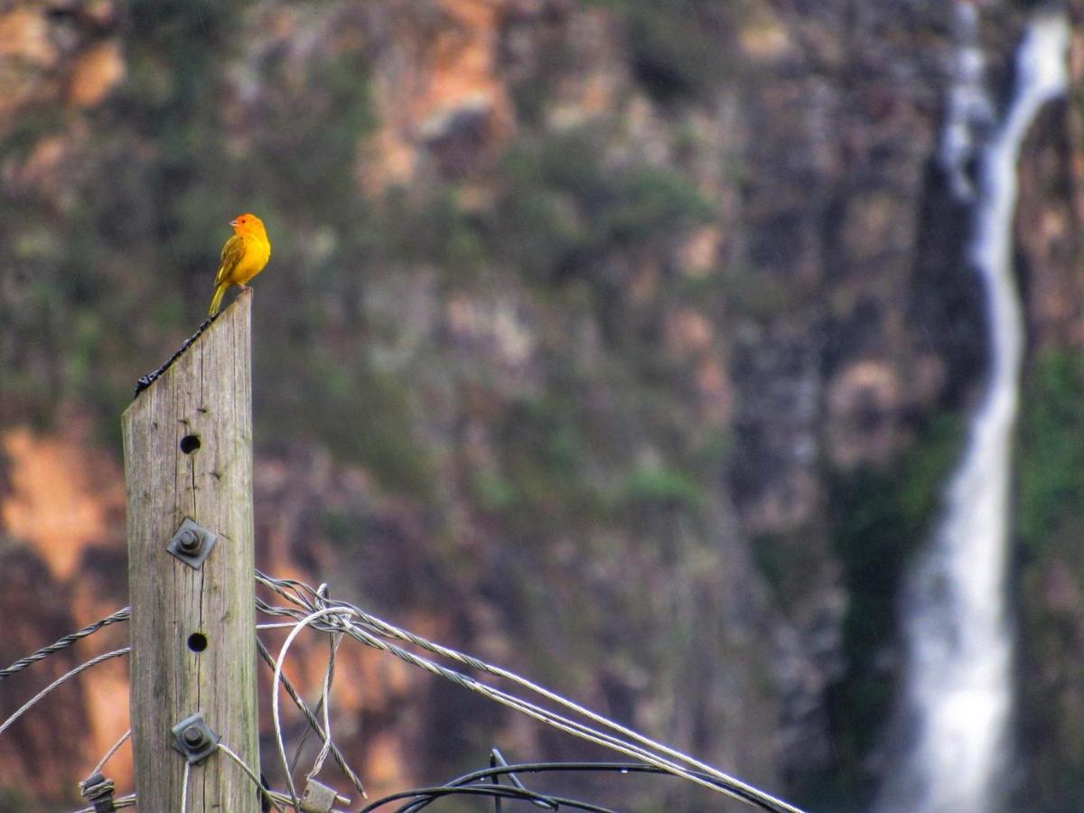 Pousada Mandalla Serra do Cipo National Park Экстерьер фото