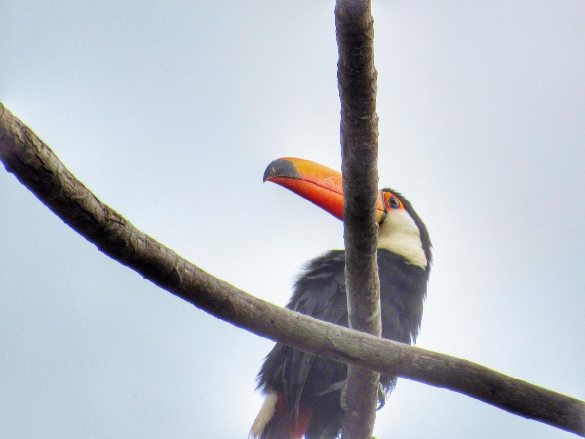 Pousada Mandalla Serra do Cipo National Park Экстерьер фото